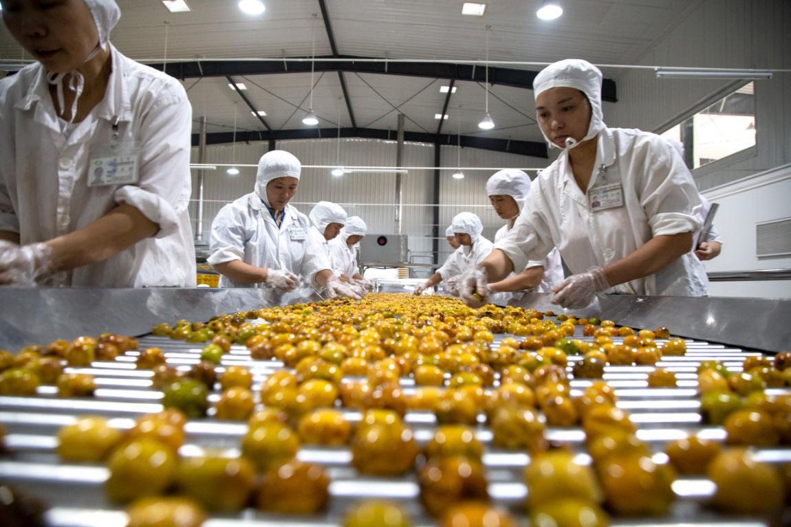 堅守綠色初心，鑄就品質傳奇——揭秘一家企業如何讓產品連續24年通過“綠色食品”認證